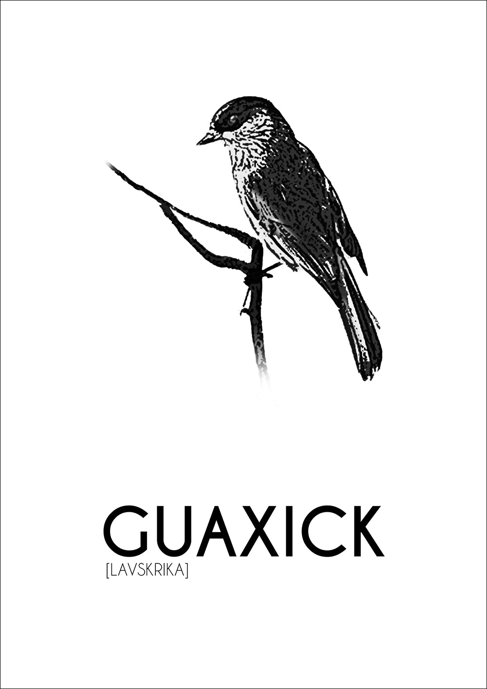 Poster Guaxick