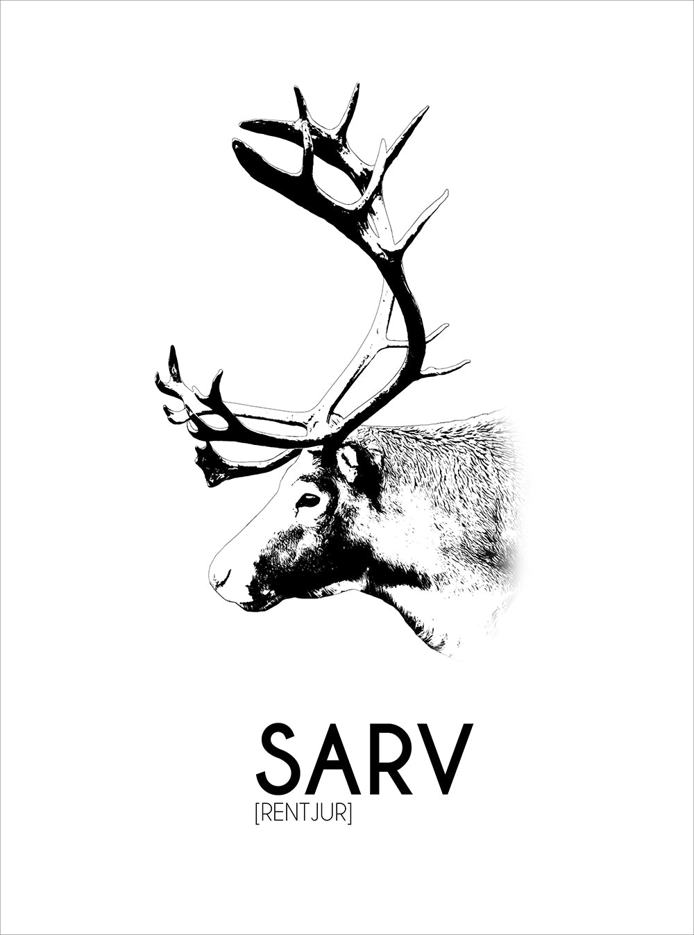 Poster Sarv